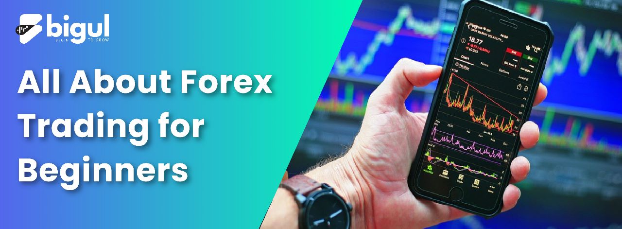All About Forex Trading for Beginners